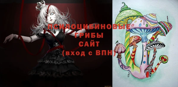 шишки Верея